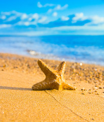 Natural Details Under the Sun