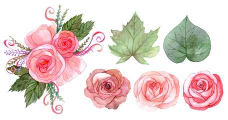 Set of red pink flowers and leaves