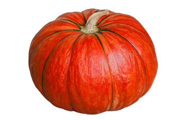 Pumpkin on white.