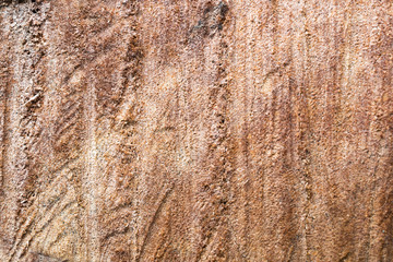 wood texture. background old panels
