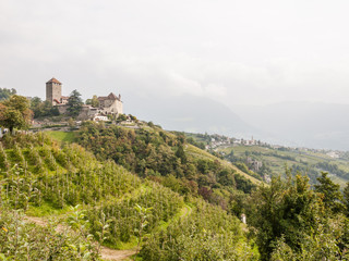 Fototapeta na wymiar Südtirol, Dorf Tirol, Schloss Tirol, Meran, Herbst, Italien