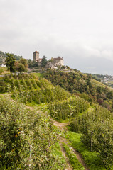 Fototapeta na wymiar Dorf Tirol, Schloss Tirol, Vinschgau, Südtirol, Herbst, Italien