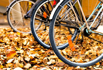 bicycles in autumn leaves