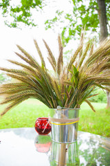 container with  green sprouts on table