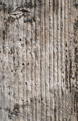 Wood Texture Background