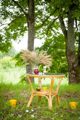 container with  green sprouts on table
