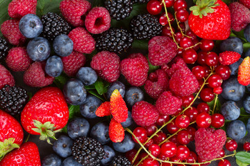 Fototapeta premium ripe of fresh berries