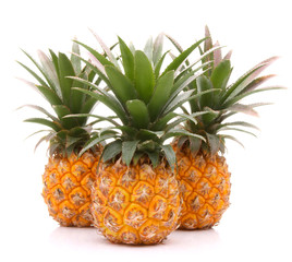 Pineapple tropical fruit or ananas