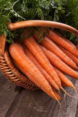 fresh carrots in wicker basket bunch on grungy wooden background