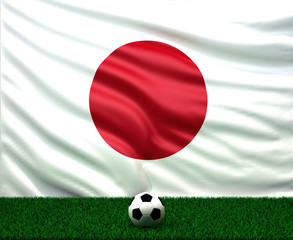 Fototapeta premium soccer ball with the flag of Japan
