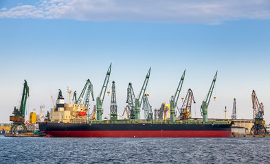 Fototapeta premium Loading with cranes of big industrial cargo ship in Varna port