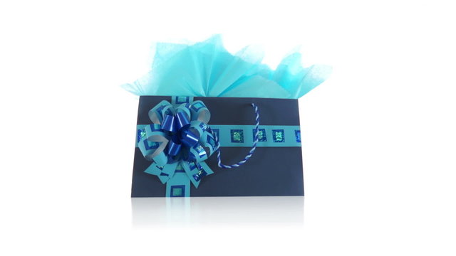 Blue Decorated Gift Bag Dolly