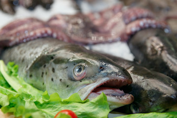 Trout on market display