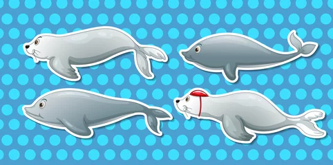 Fotobehang Otter and dolphin © GraphicsRF