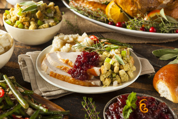 Homemade Thanksgiving Turkey on a Plate