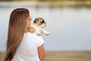 the young woman holds on hands of a puppy of breed the boxer and