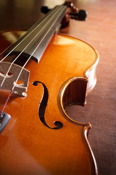 Wooden violin,music instrument.