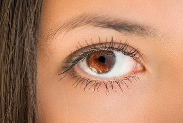 Human eye with reflection. Macro shot.