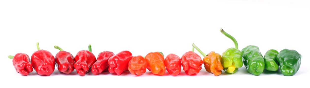 Eine Reihe mit Chilischoten