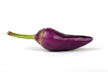 Eine violette Chili-Schote