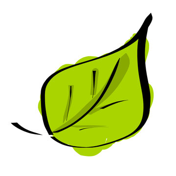 Foglia verde