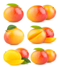 Fototapeta na wymiar set of 6 mango images