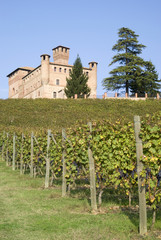 Fototapeta na wymiar Castle of Grinzane Cavour in Piedmont region of Italy