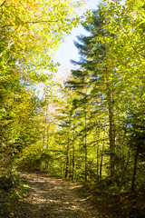 Autumn landscape in the mountains