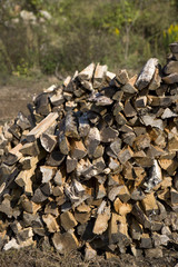 積み上げられた薪