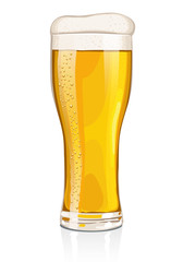 Cerveza