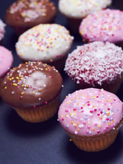 Cupcakes close up on black slate, portrait view