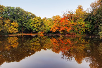 Autumn lake and forest