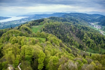 Fototapeta na wymiar Aerial view of lake Zurich