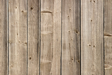 Naklejka premium The natural wood texture with natural patterns