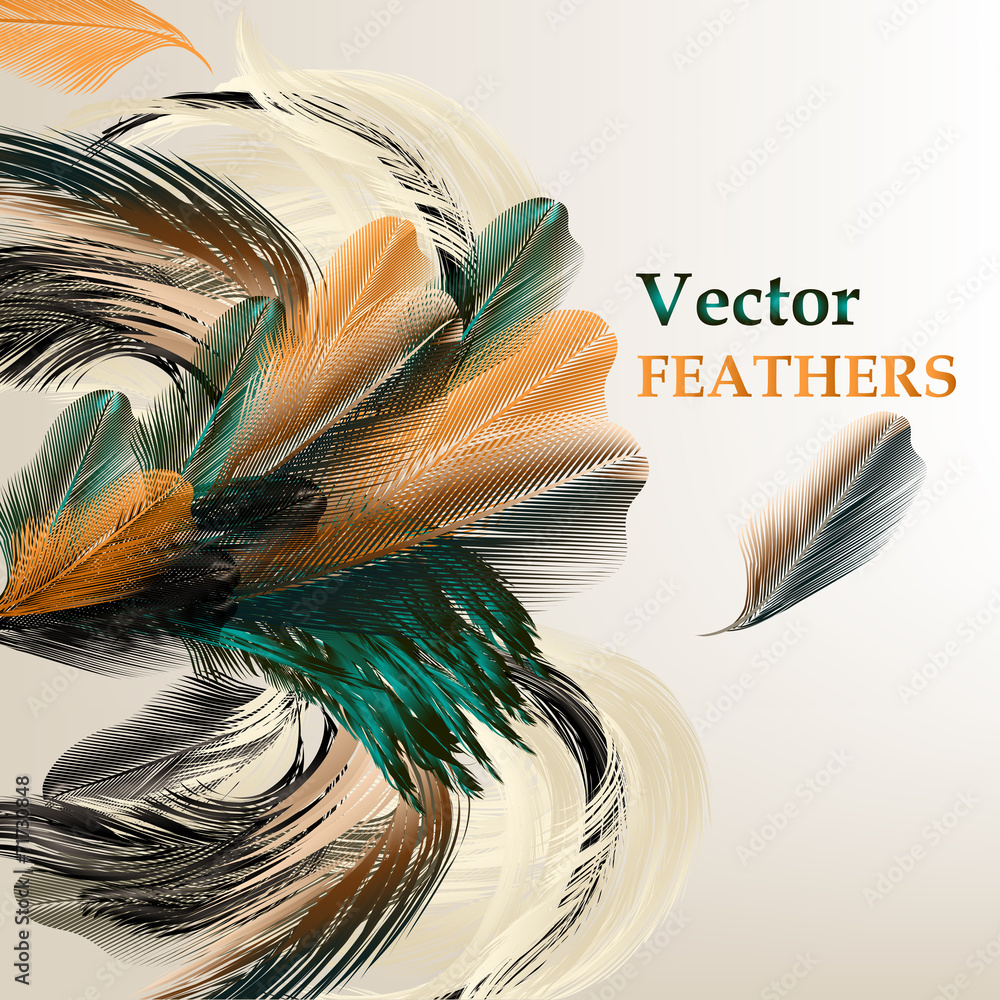 Poster Background with vector realistic bird feathers