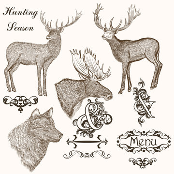 Collection of vector hand drawn animals for hunting season desig