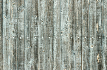 Fototapeta premium Old painted wood wall - texture or background