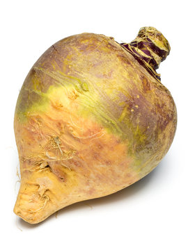 Steckr&uuml;be