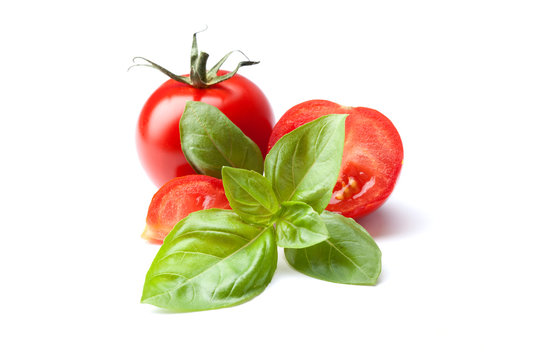 rohe Tomaten und frischer Basilikum, weißer Hintergrund