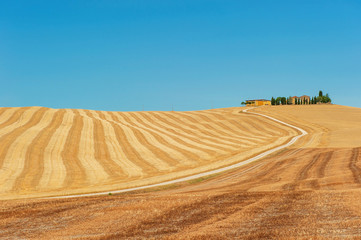 Fototapeta na wymiar typical tuscan landscape