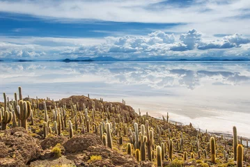 Fotobehang Incahuasi island, Salar de Uyuni, Bolivia © javarman