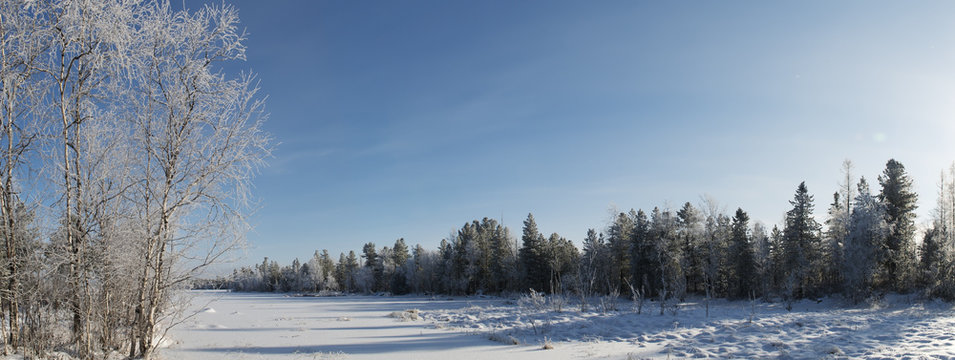 Scenic winter panorama of the forest landscape in the north of R