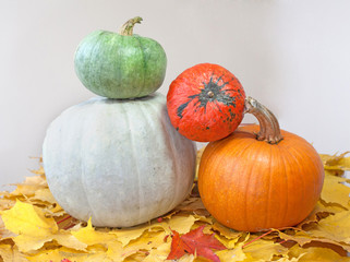 pumpkins