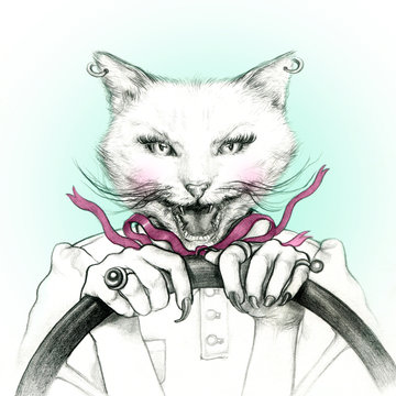 Crazy cat in a car .fashion animal watercolor illustration