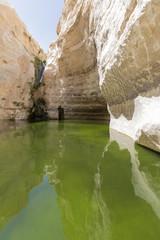 gorges in the Negev desert
