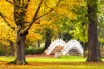 buntes Herbstlaub im Park