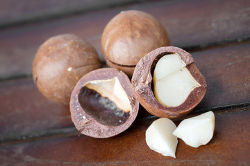 Ripe macadamia nuts closeup. Small Depth of Field (DOF)