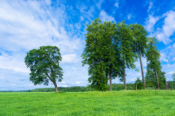 Fototapeta premium Calm Solitude Scenic View