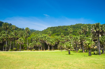 Blue Landscape Serene View