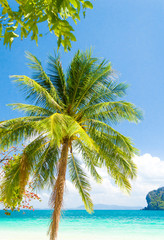 Beautiful Beach Relaxation In Peace